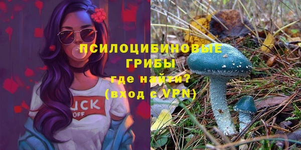марки nbome Горняк