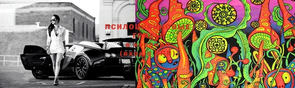меф Горнозаводск