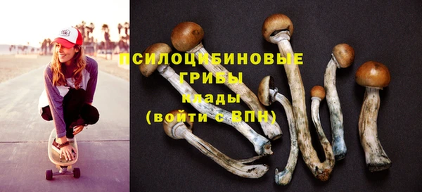 меф Горнозаводск