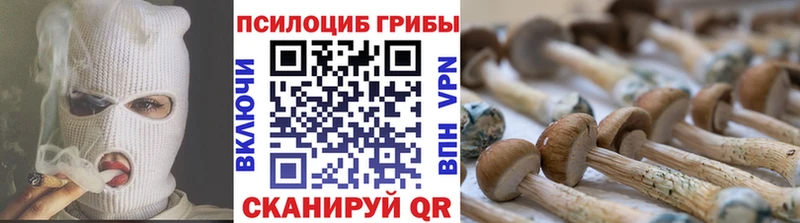 Галлюциногенные грибы Magic Shrooms  Купить  Кадников 